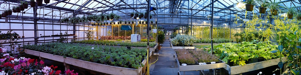 Artikelübersicht des aktuellen Programms Botanischer Garten