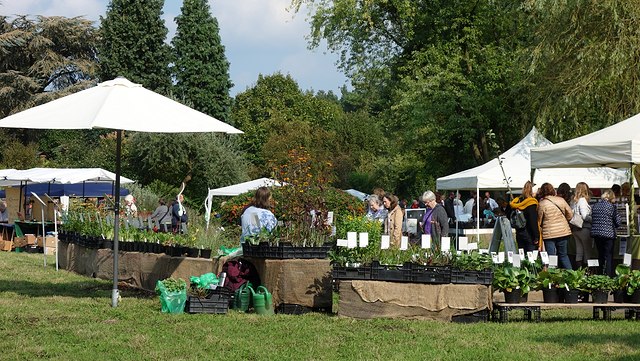 grüne Wise im Botanischen Garten Hamburg. Im Hintergrund Bäume, im Mittelgrund weiße Pavillons und Pflanzenverkaufsstände