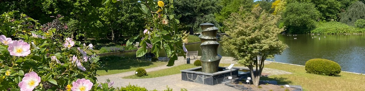 BesucherInformation Botanischer Garten Universität Hamburg