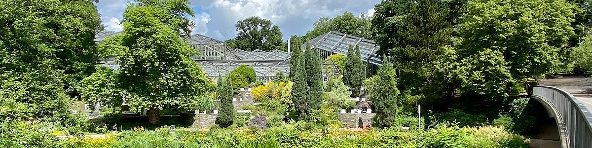 Kontakt Botanischer Garten Universität Hamburg