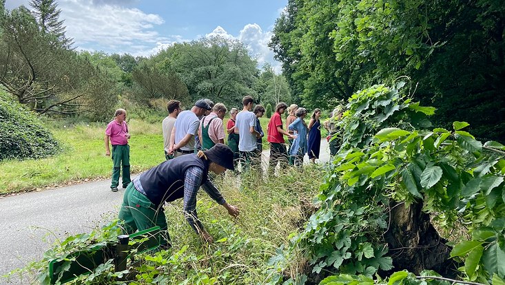 Gruppe von Menschen im Wald