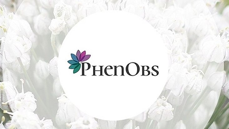 phenobs logo