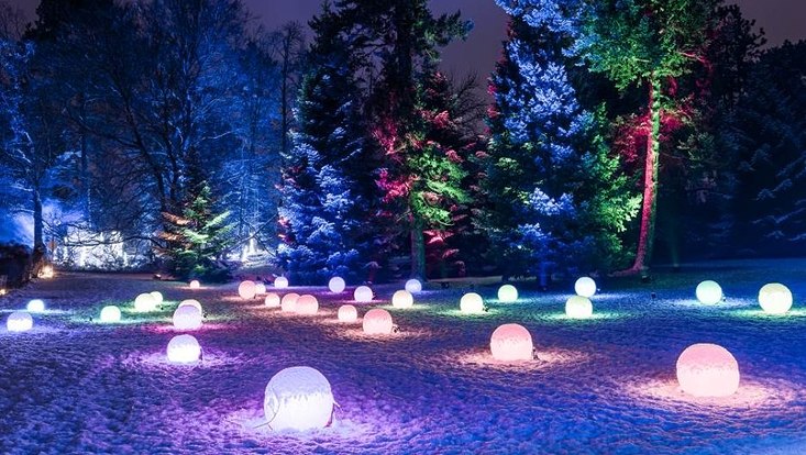 Lichtinstallation auf einer dunklen Wiese bei Nacht, um Hintergrund hohe Bäumer. Auf der Wiese eine Vielzahl von leuchtenden Kugeln, die die Nacht erhellen.