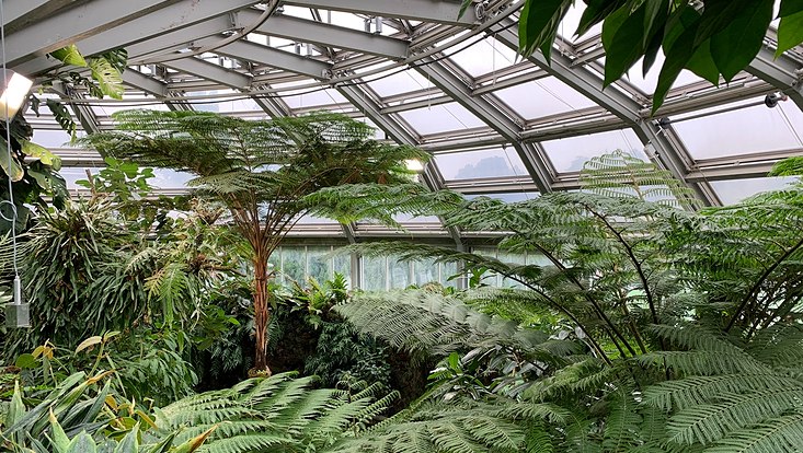 Blick in die Schaugewächshäuser im Botanischen Garten Berlin