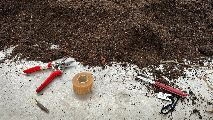 Gärtnerwerkzeuge auf einem Pflanztisch