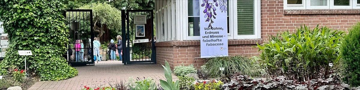 Ausstellungen Botanischer Garten Universität Hamburg
