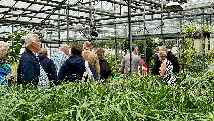 Eine Gruppe von Menschen im Gewächshaus des Botanischen Gartens Hamburg. Im Vordergrund grüne Pflanzen, im Mittelgrund die Menschen, im Hintergrund die Glas-Stahlkonstruktion