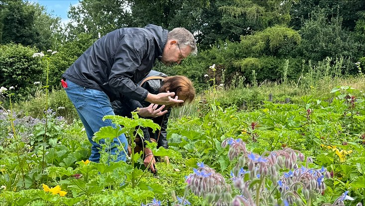 Sternekoch Thomas Martin in einem Beet des Loki-Schmidt-Gartens beim Ernten der Kräuter
