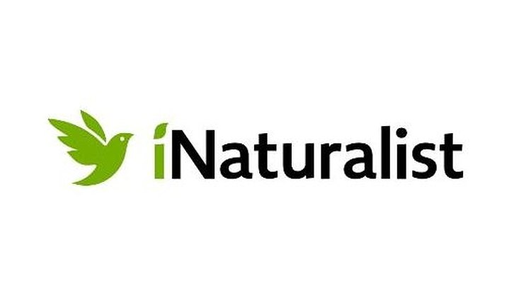 Logo der Natur-App iNaturalist