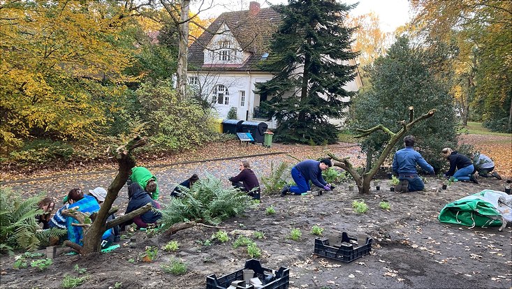 Freiwillige Helfer pflanzen über 400 Stauden auf der Fläche des Sternwarten-Parks