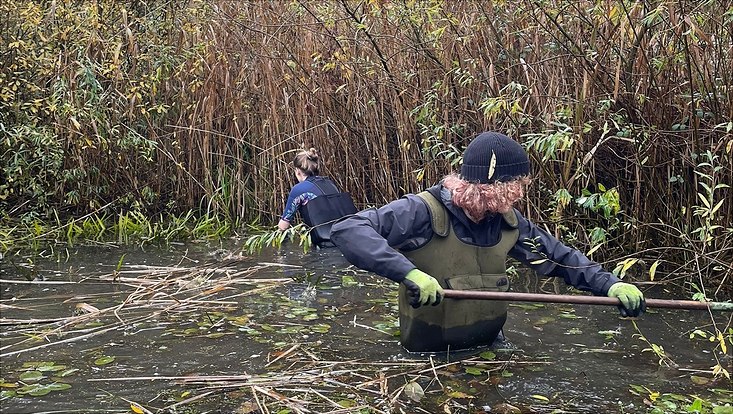 Zwei Freiwillige des FÖJ stehen auf Gut Karlshöhe in Wathosen im Teich und reinigen ihn