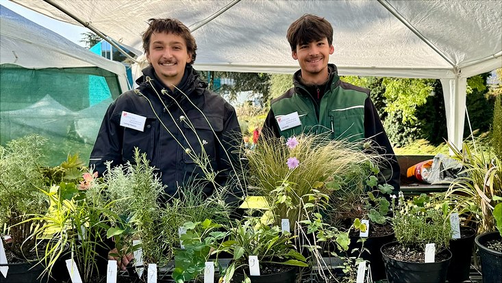 Die Auszubildenden Luis Kleis und Ludiwg Thiessen im Botanischen Garten bei den Apfeltagen 2024