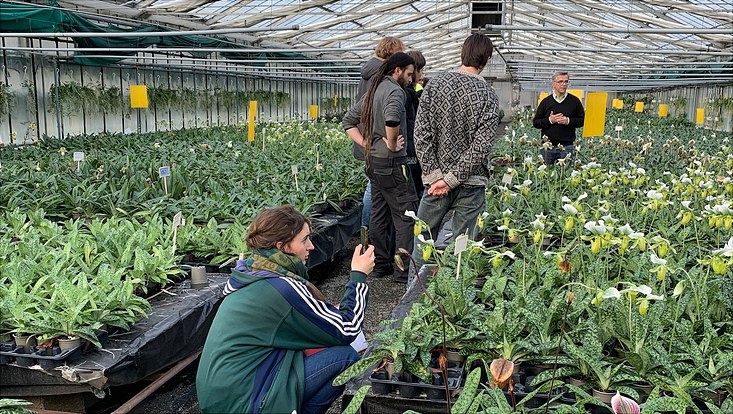 Auszubildende des Botanischen Gartens der Universität Hamburg in den Gewächshäusern von Orchideen Wichmann