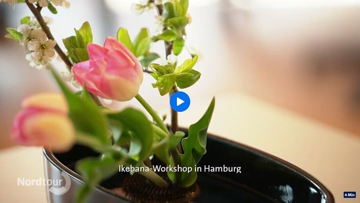 Screenshot von der Videoansicht des Beitrags über IKEBANA bei der NDR Nordtour