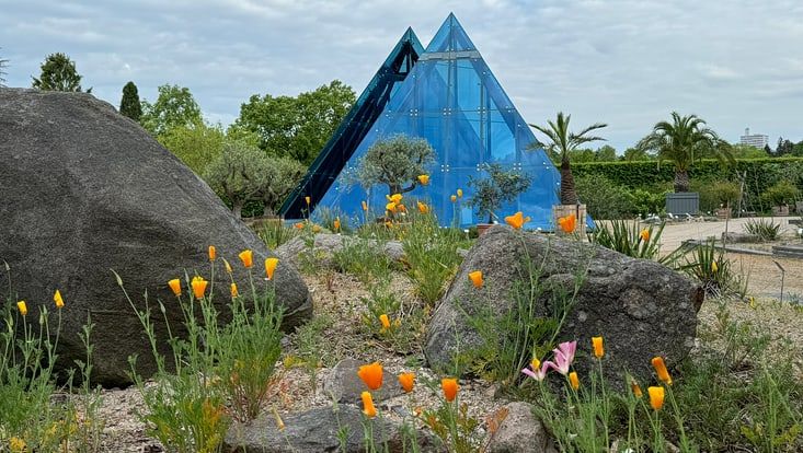 Die ikonischen blauen Pyramiden im Wüstengarten des Loki-Schmidt-Garten im Hintegrund, im Vordergrund die karge Landschaft mit orange blühenden Wüstenblumen