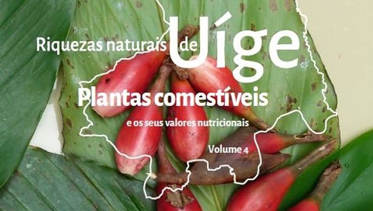 Ausschnitt aus der Titelseite des Buches Riquezas Naturais de Uíge: Lokale Nahrungspflanzen und ihre Nährwerte im Fokus.