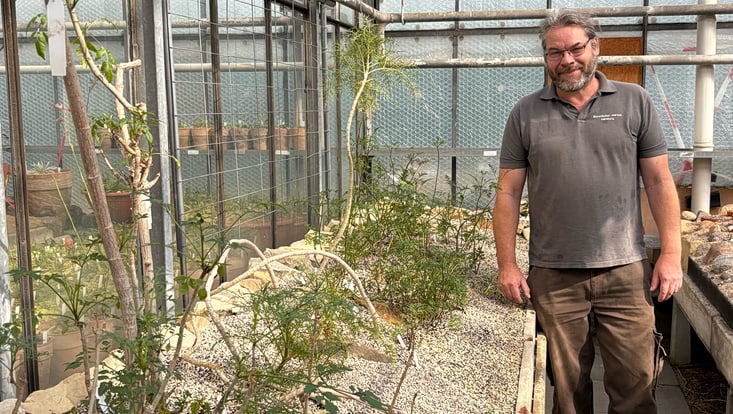 Gärtnermeister Tobias Brose in seinem Kalthaus an einem neu gestalteten Dahlienbeet