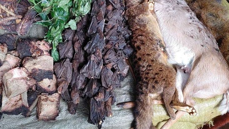 Auslage mit erlegten Wildtieren in Angola