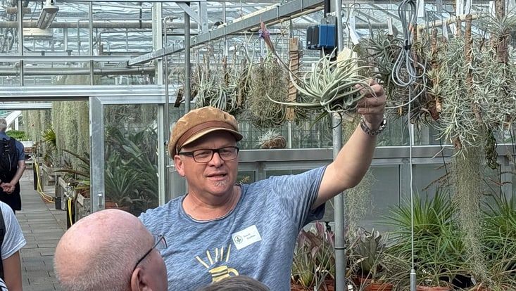 Gärtnermeister Timm Stolten mit einer Bromelie